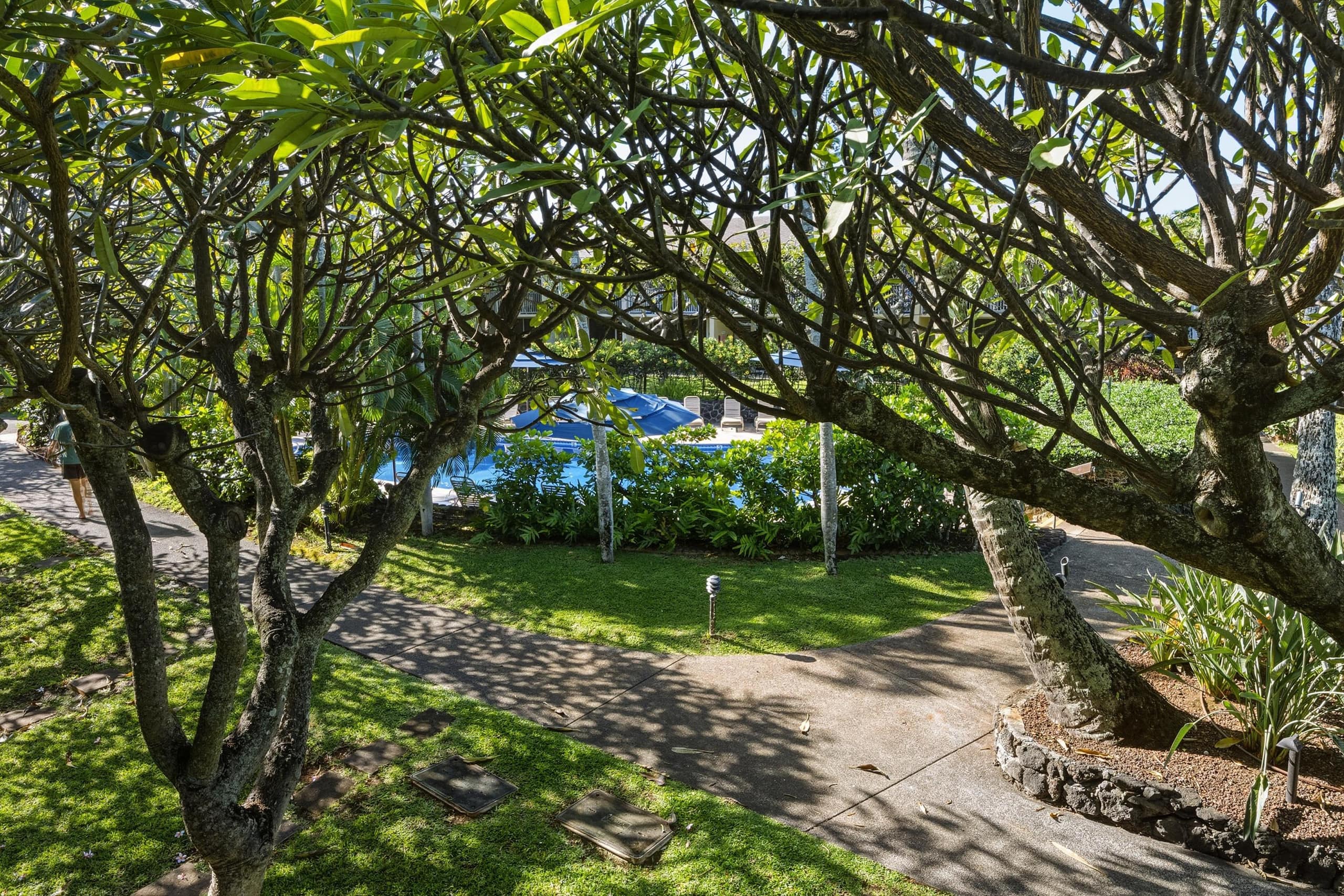 Condo in Lahaina · ★5.0 · 1 bedroom · 2 beds · 1 bath - Image 33