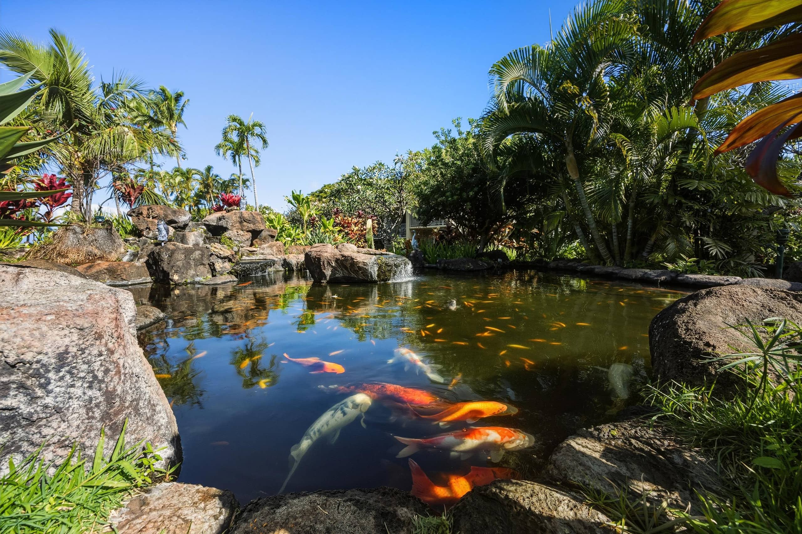 Condo in Lahaina · ★5.0 · 1 bedroom · 2 beds · 1 bath - Image 35