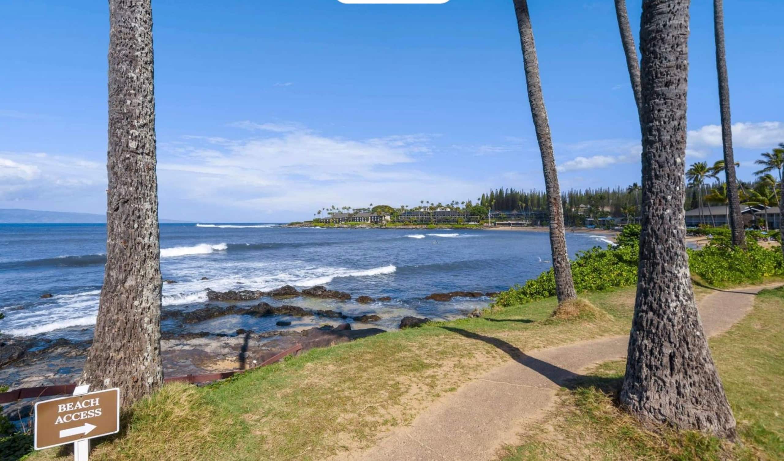 Condo in Lahaina · ★5.0 · 1 bedroom · 2 beds · 1 bath - Image 41