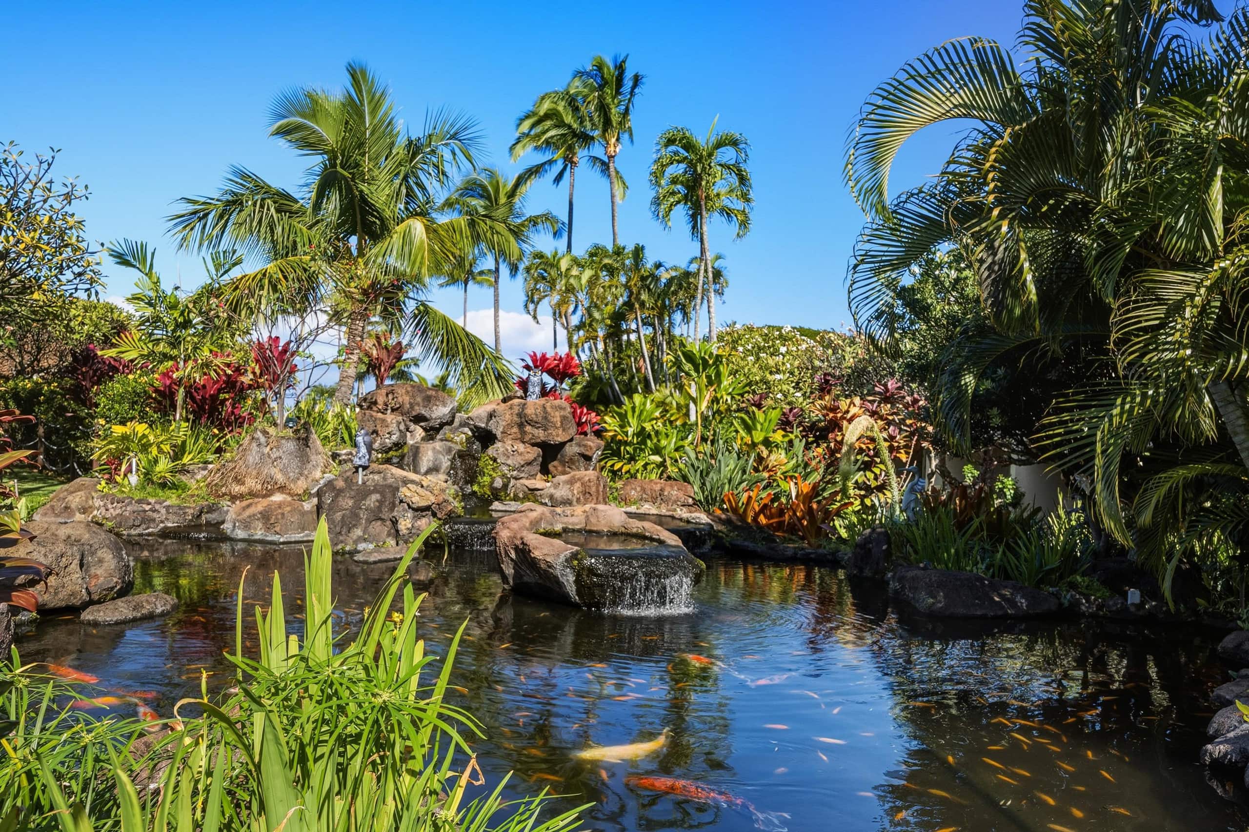 Condo in Lahaina · ★5.0 · 1 bedroom · 2 beds · 1 bath - Image 37