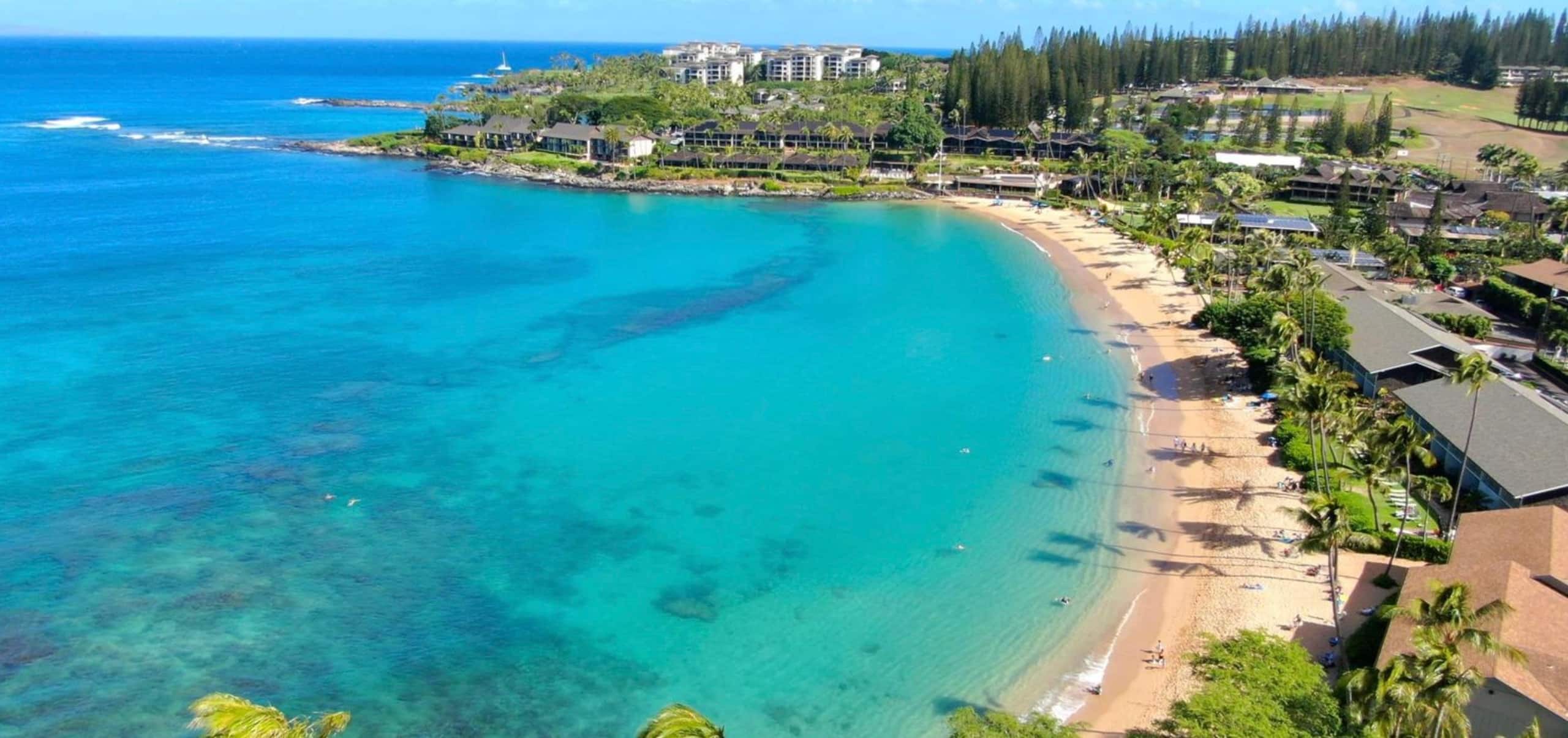 Condo in Lahaina · ★5.0 · 1 bedroom · 2 beds · 1 bath - Image 58