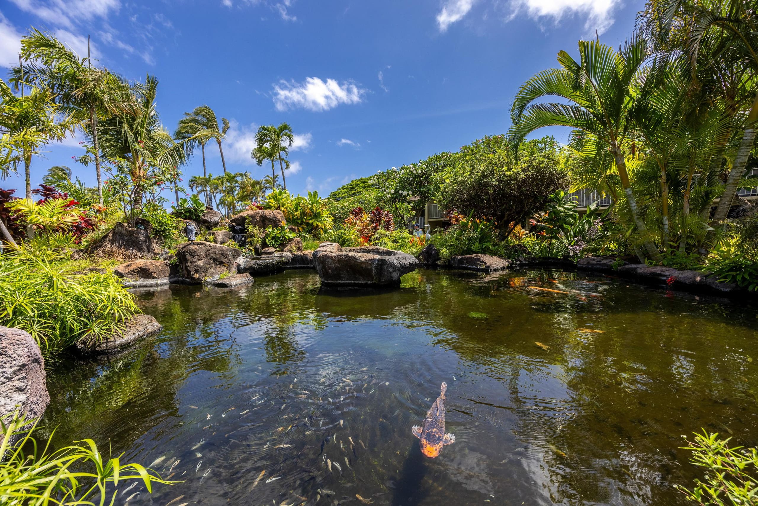 Condo in Lahaina · ★5.0 · 1 bedroom · 2 beds · 1 bath - Image 36