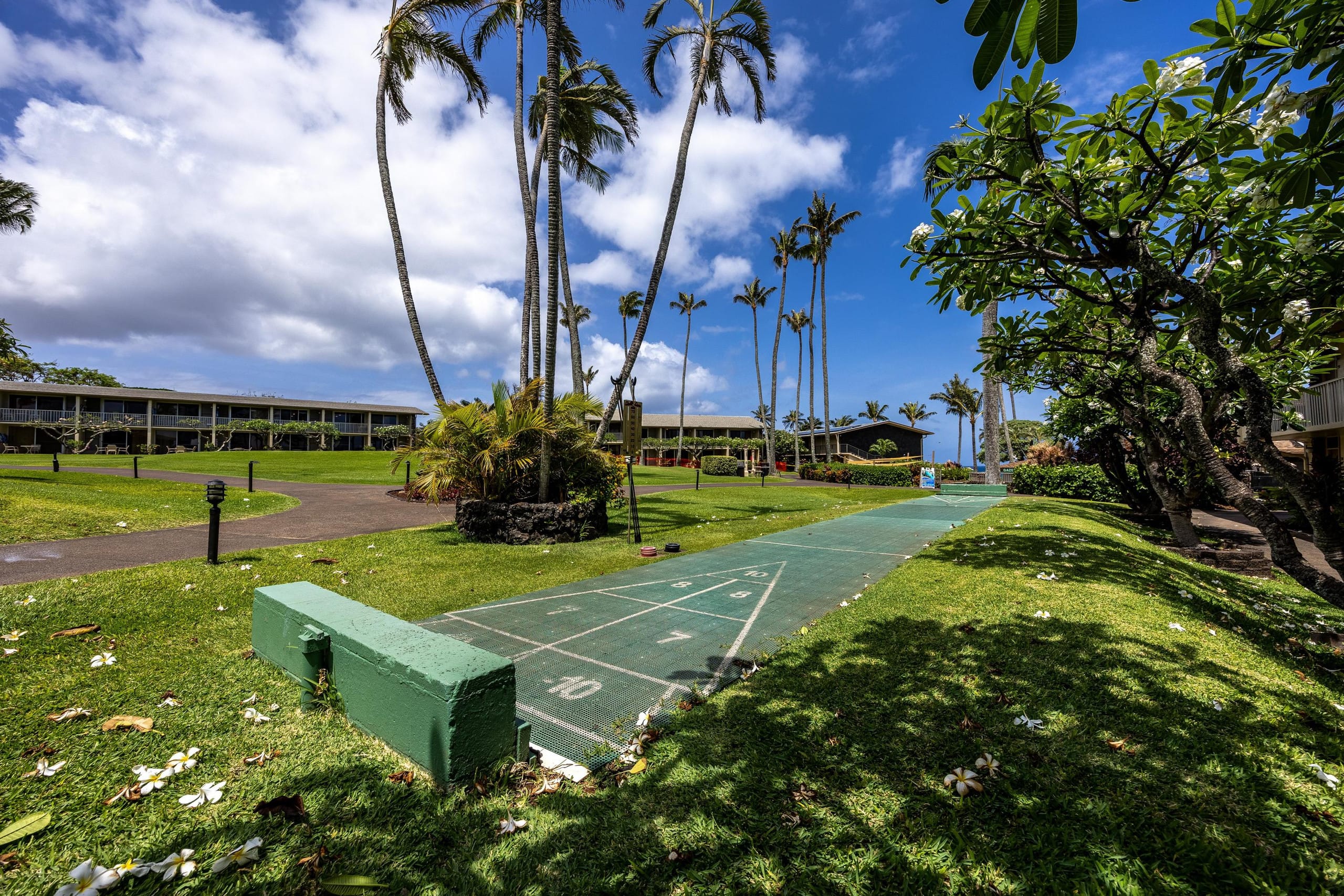 Condo in Lahaina · ★5.0 · 1 bedroom · 2 beds · 1 bath - Image 45