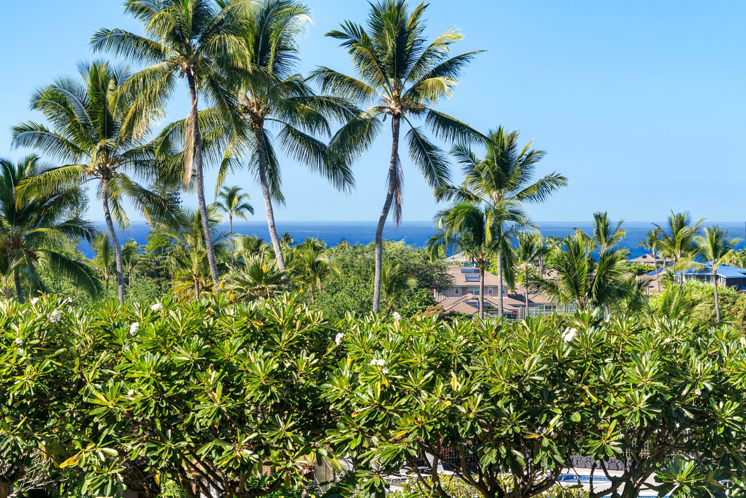 Condo in Kailua-Kona · ★4.8 · 2 bedrooms · 3 beds · 2 private baths - Image 10