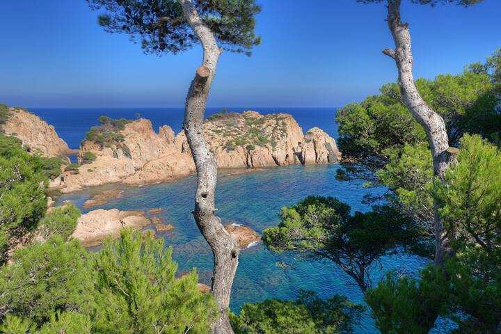 cala nostra -roca rosa -attached house with sea vi gallery image 5