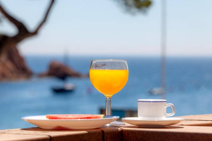 gala 2-apartment with sea views-tamariu-costa brav gallery image 4