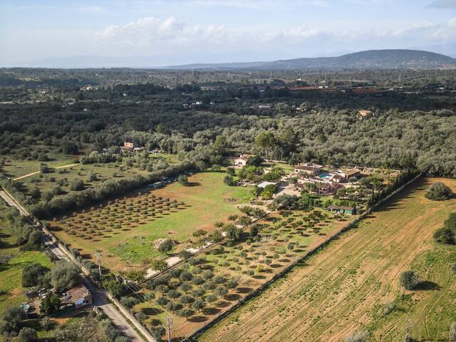 Cas Misser gallery image 5