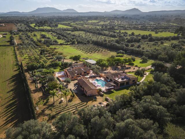 Cas Misser gallery image 4