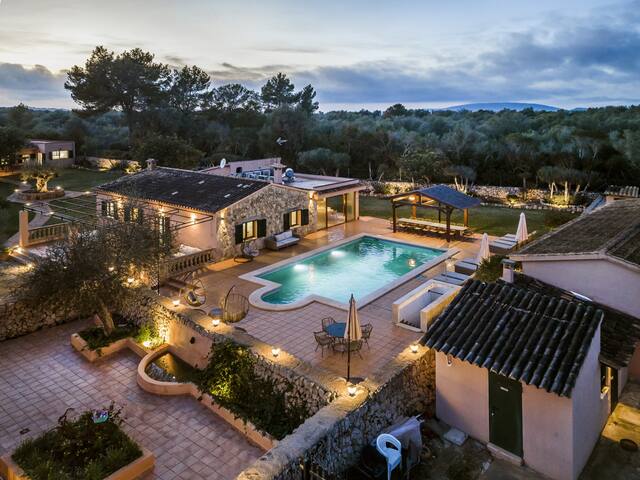 Cas Misser gallery image 2