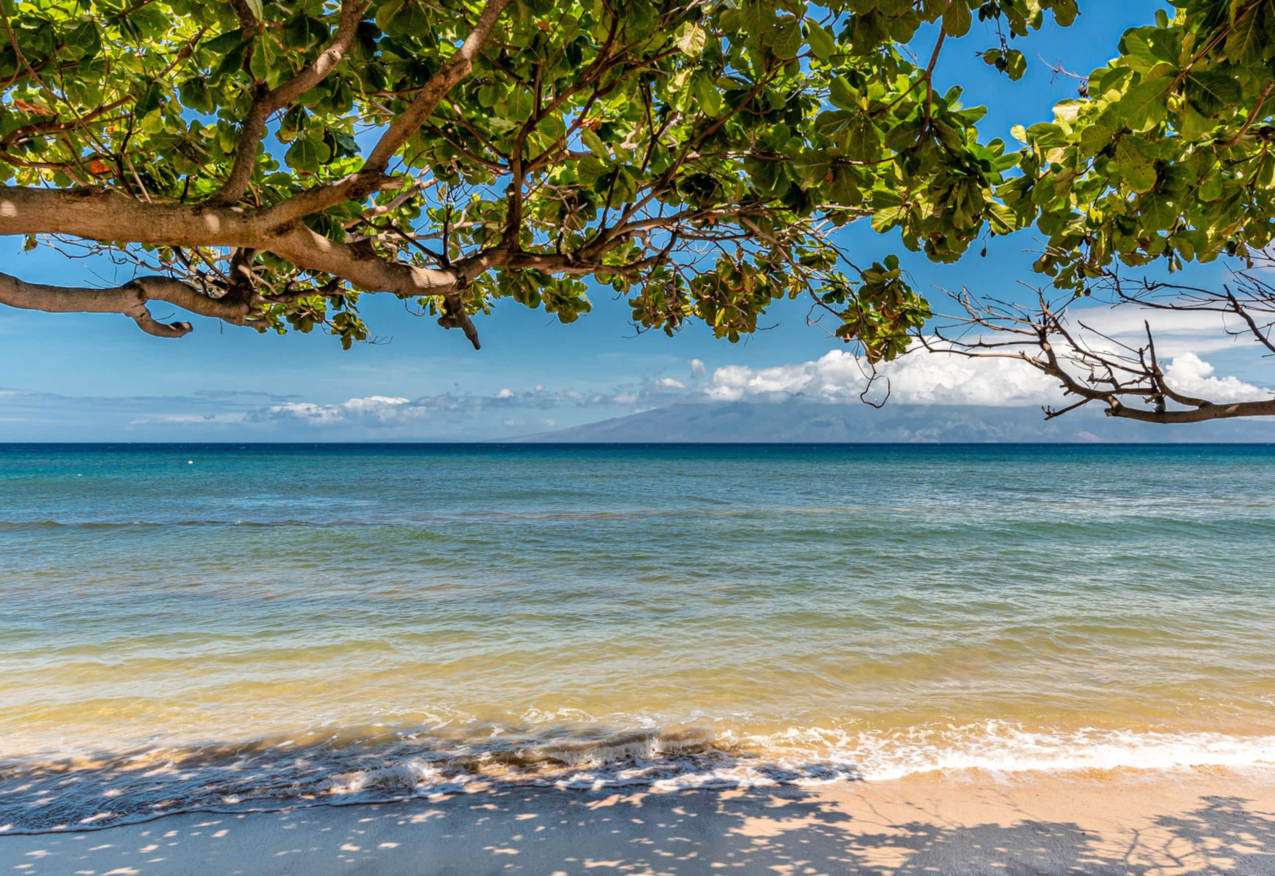 Condo in Lahaina · ★4.92 · 1 bedroom · 3 beds · 1 bath - Image 3