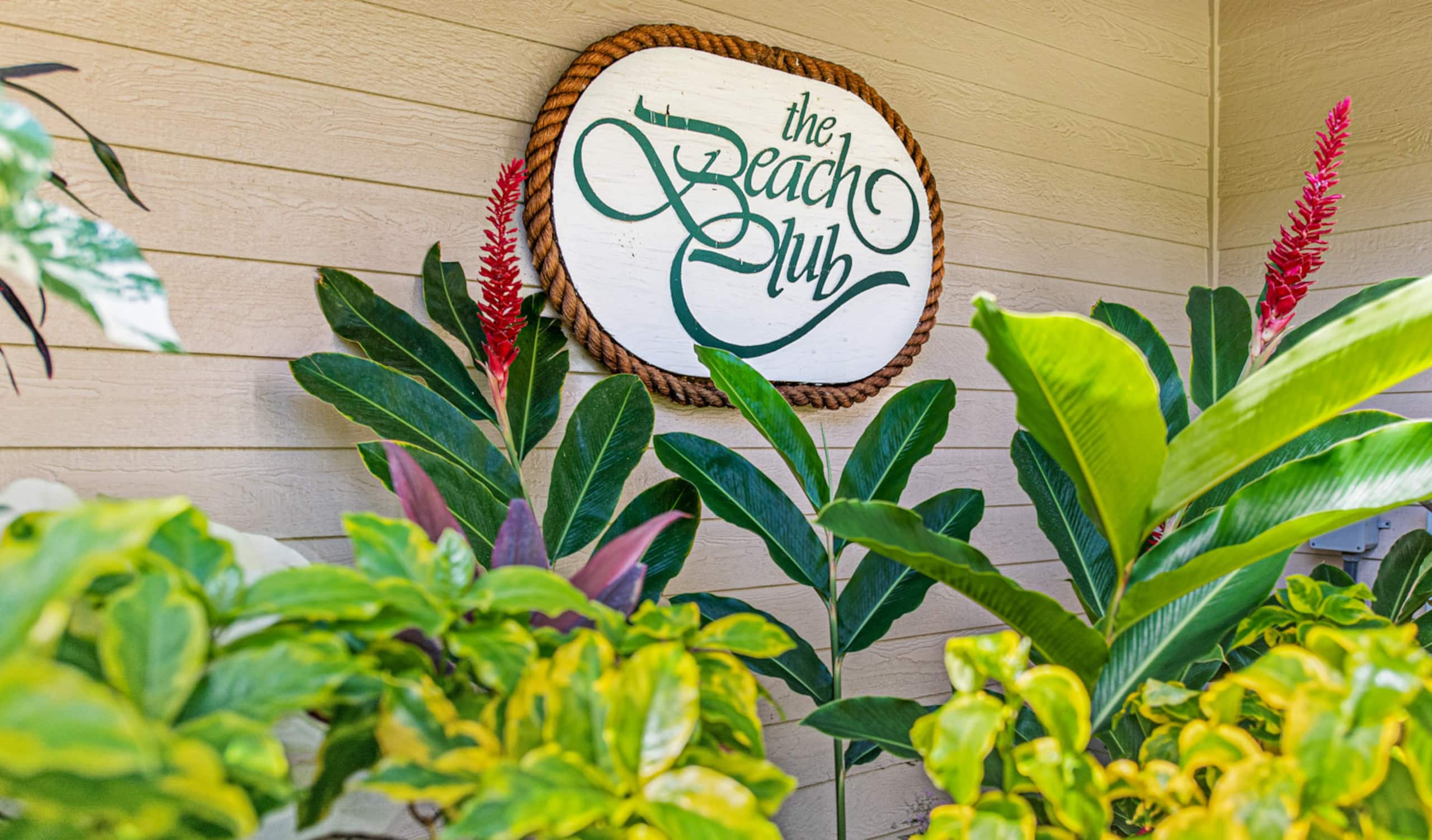 Condo in Lahaina · ★4.92 · 1 bedroom · 3 beds · 1 bath - Image 29