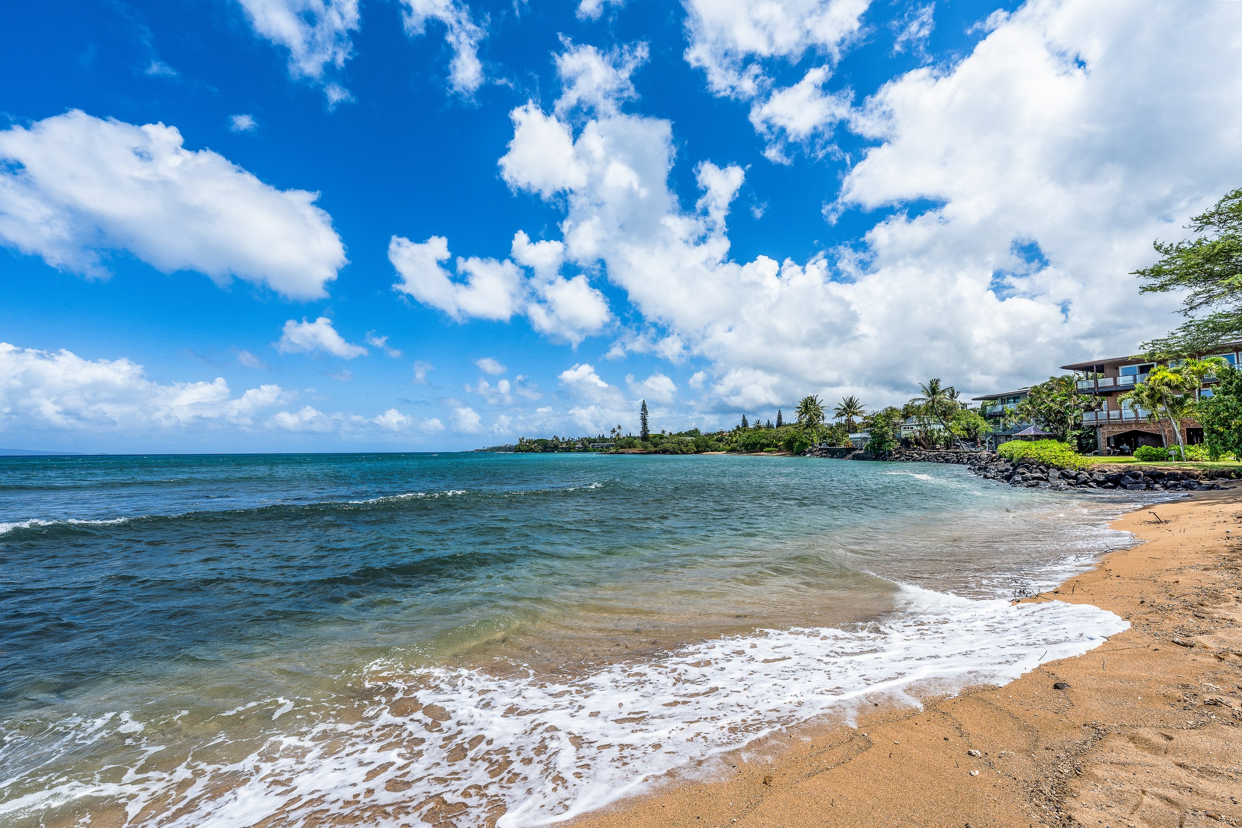 Condo in Lahaina · ★4.71 · 2 bedrooms · 4 beds · 2 baths - Image 48