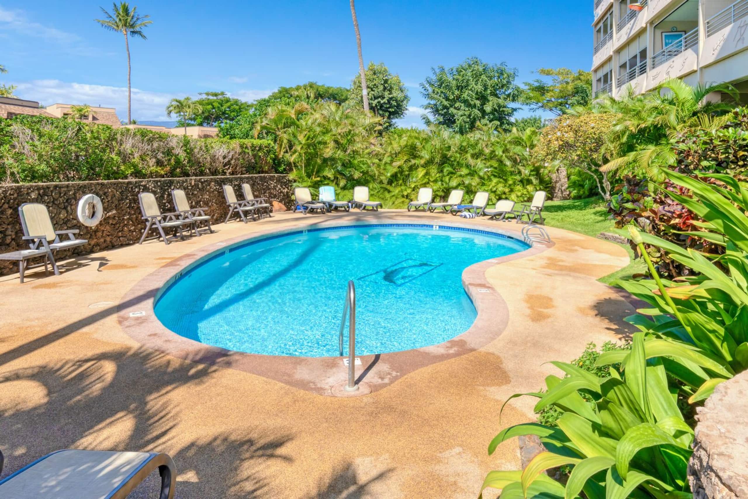3 bedroom Oceanview Walk to Everything - KBR 612 - Image 44