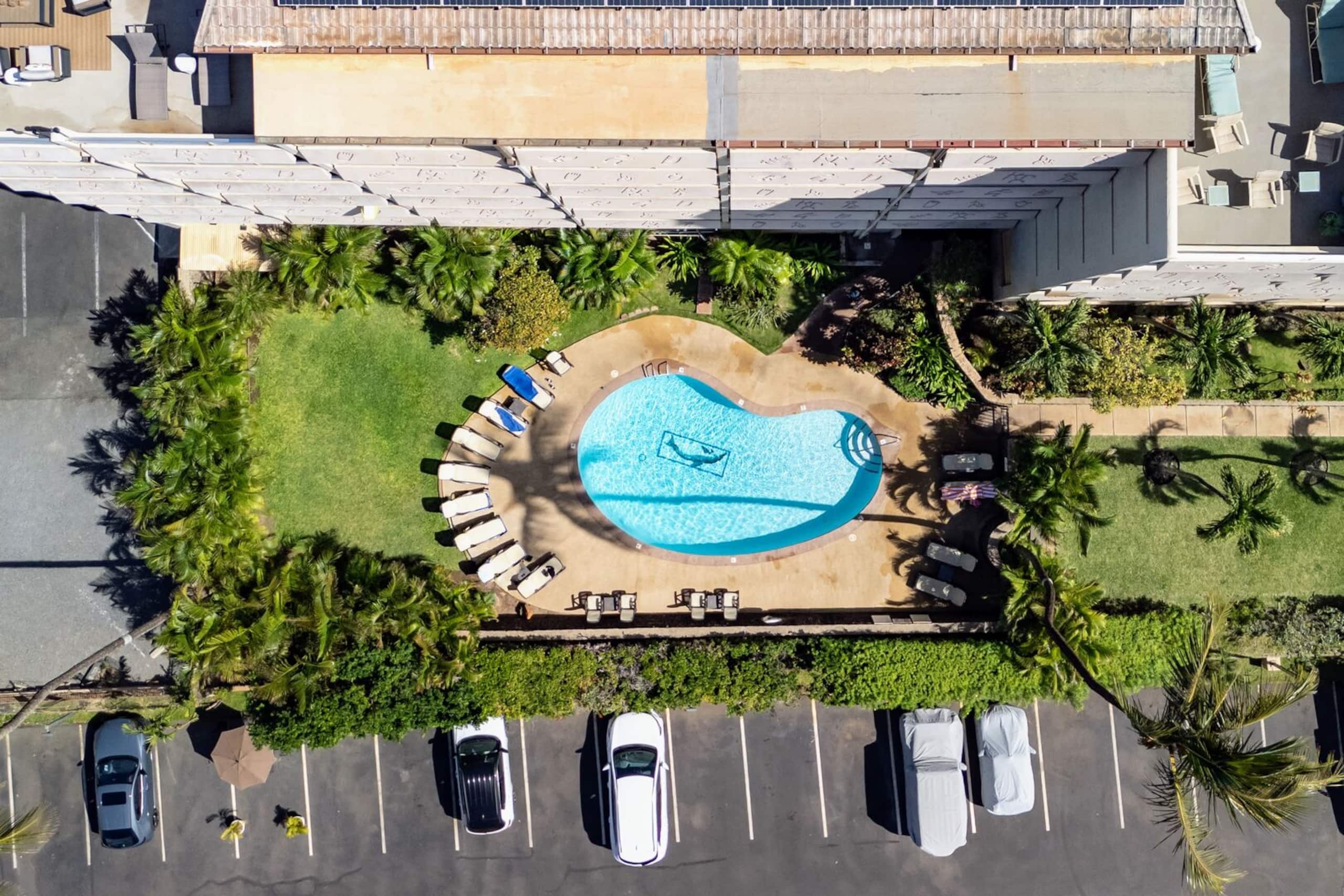 3 bedroom Oceanview Walk to Everything - KBR 612 - Image 59