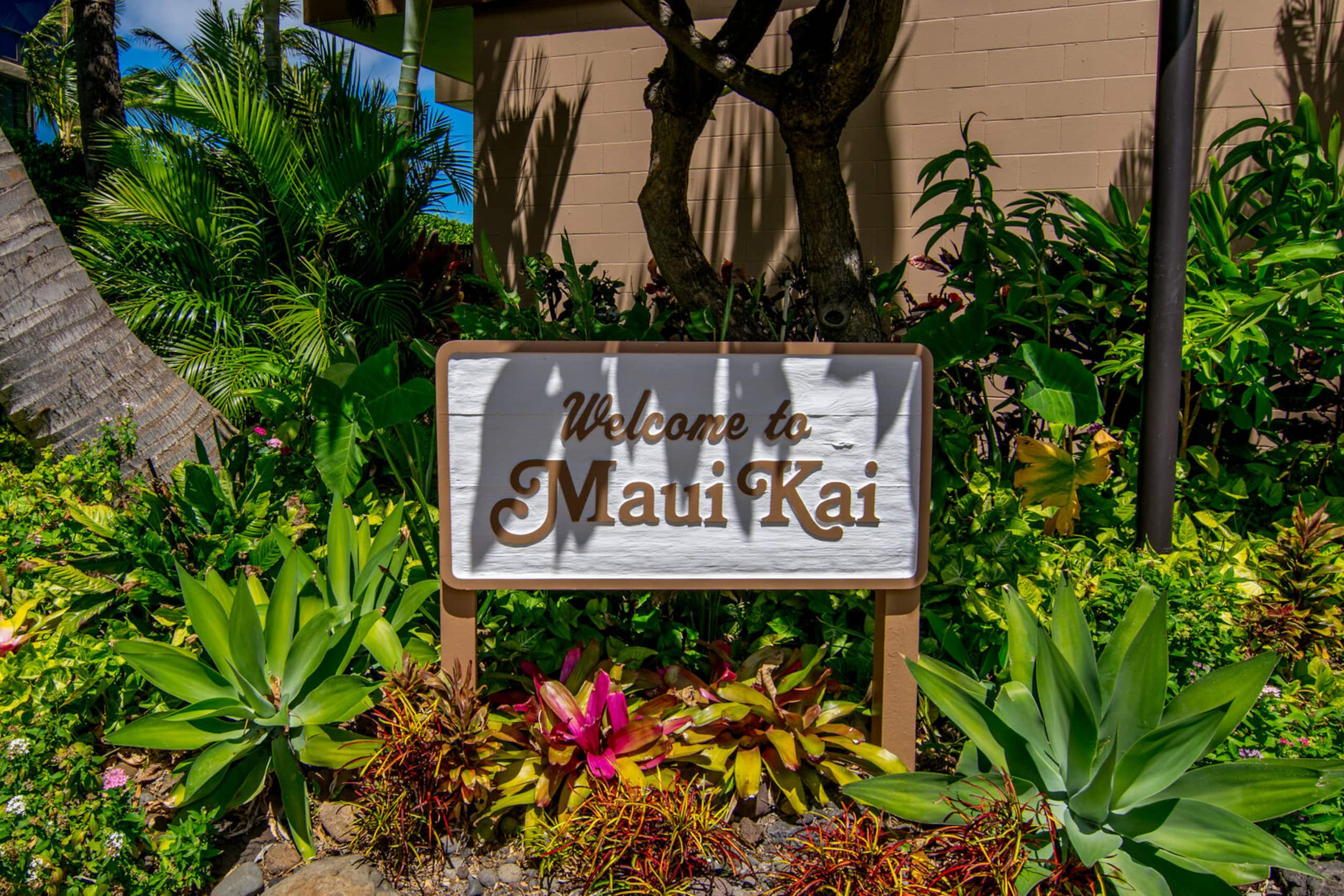 Condo in Lahaina · ★4.75 · 1 bedroom · 2 beds · 1 private bath - Image 49