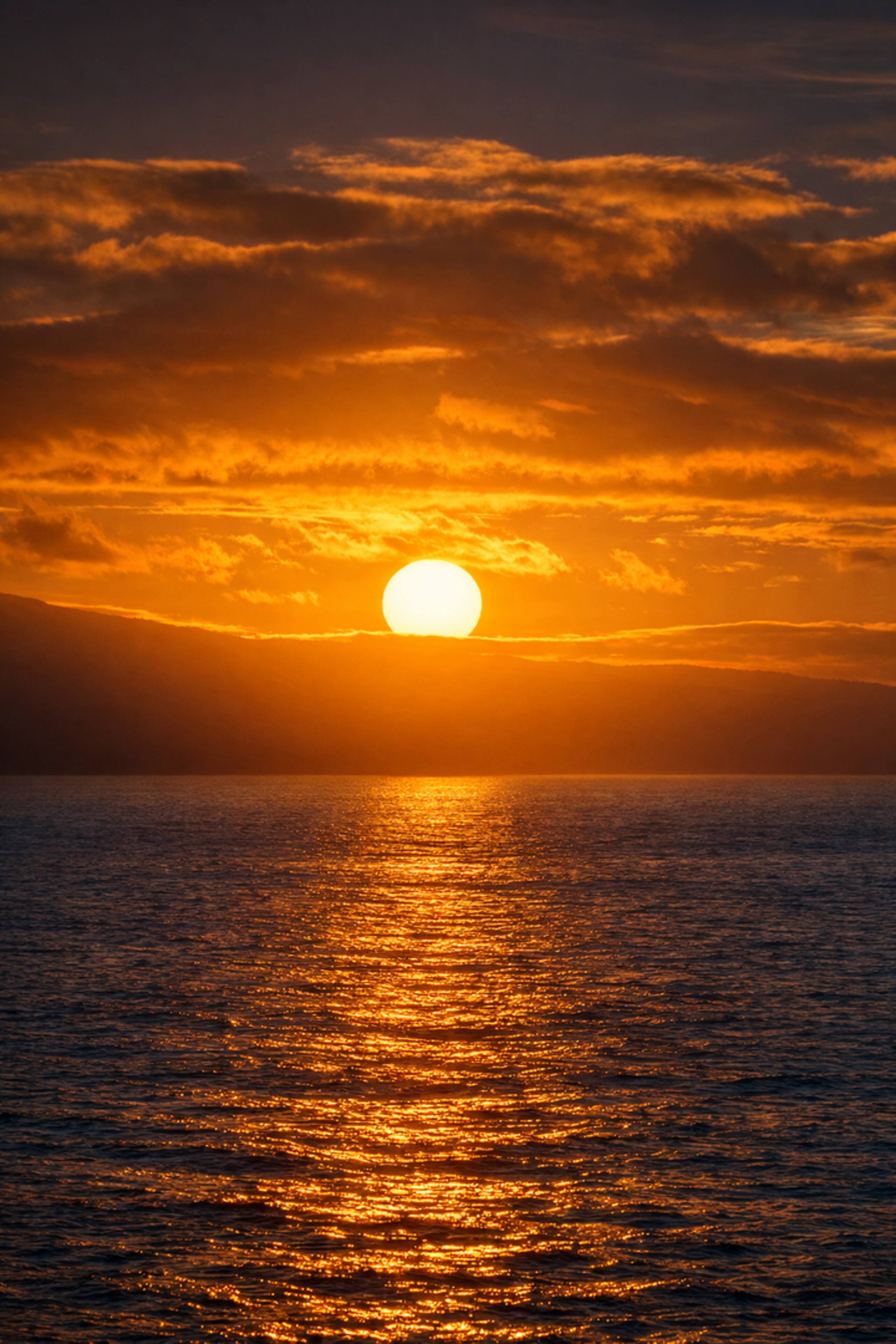 Condo in Lahaina · ★4.75 · 1 bedroom · 2 beds · 1 private bath - Image 42
