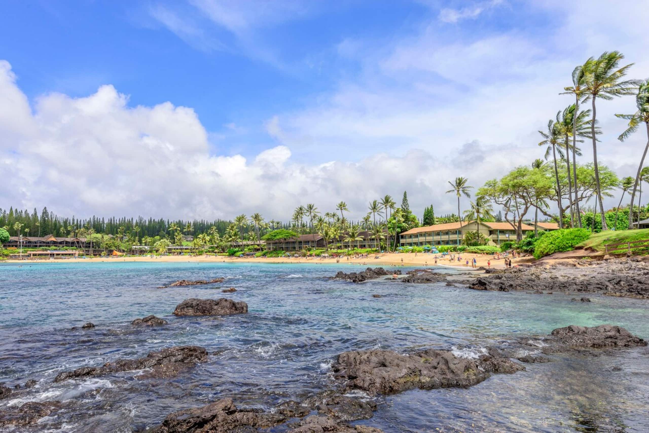 Condo in Lahaina · ★4.71 · 1 bedroom · 3 beds · 1 bath - Image 48