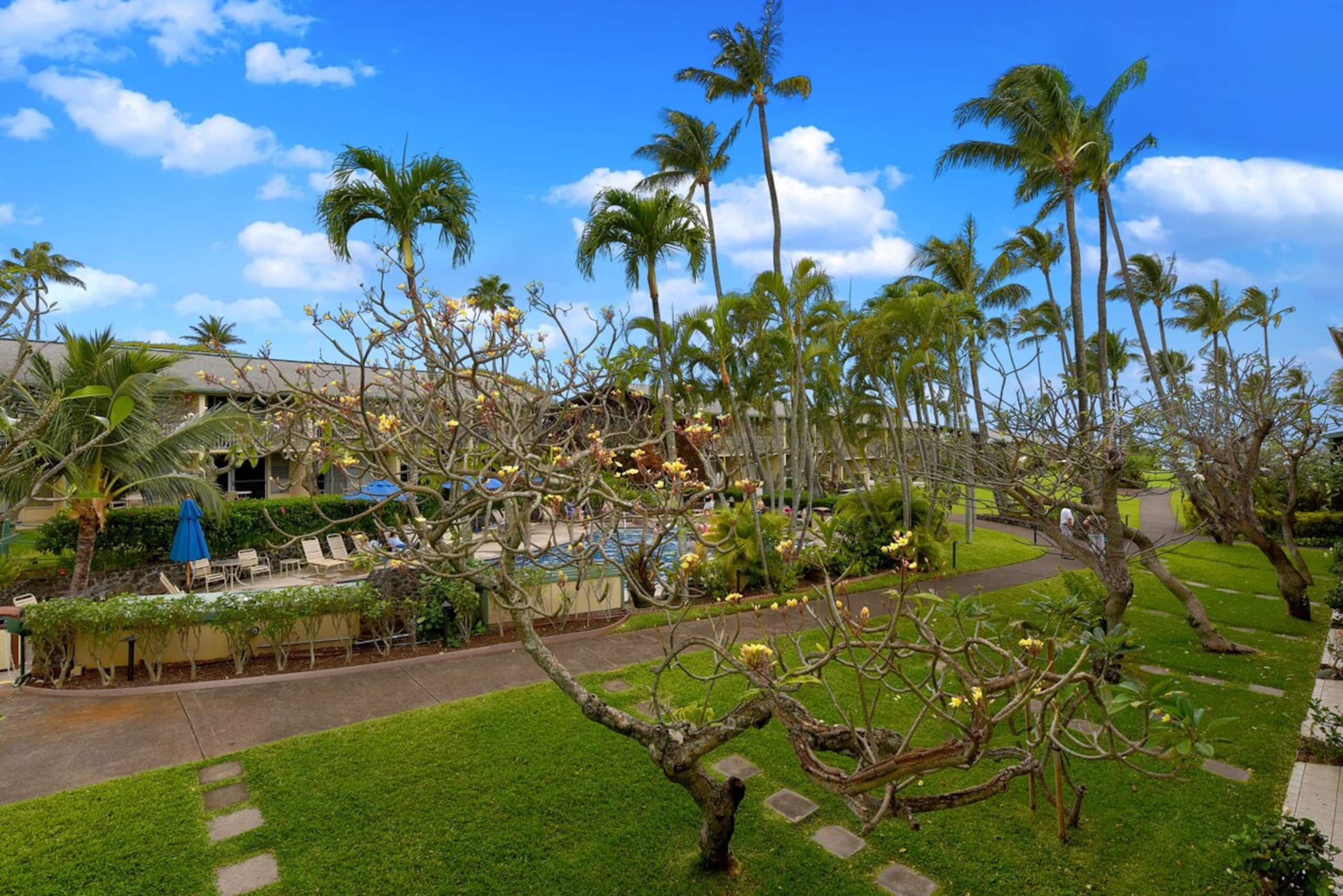 Condo in Lahaina · ★4.71 · 1 bedroom · 3 beds · 1 bath - Image 12