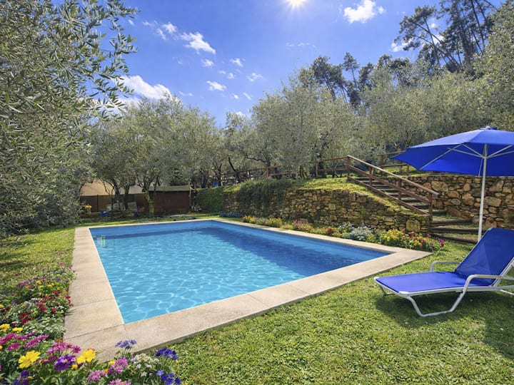 Micla By Interhome - Lucca