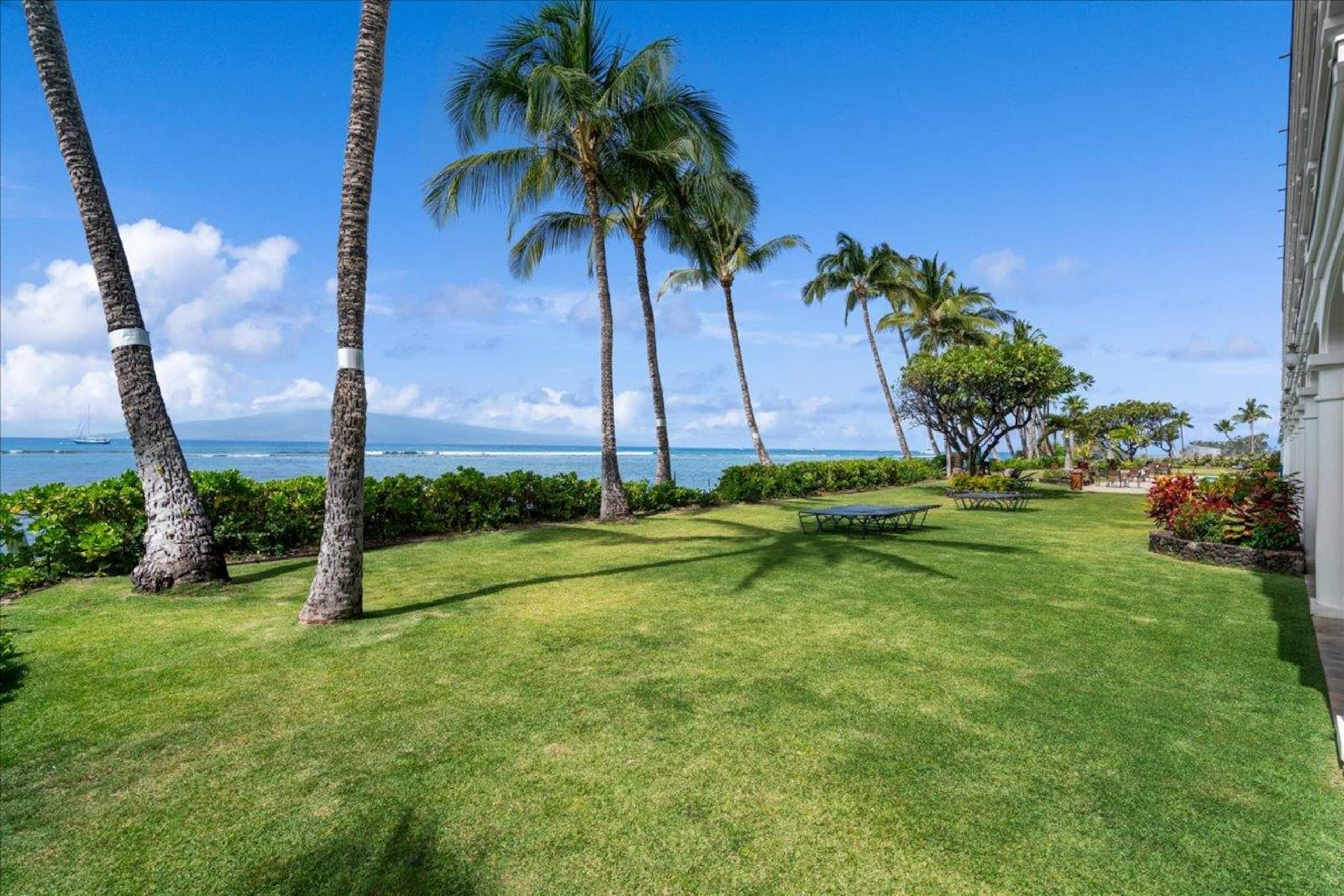 Place to stay in Lahaina · ★5.0 · 1 bed · 1 private bath - Image 19