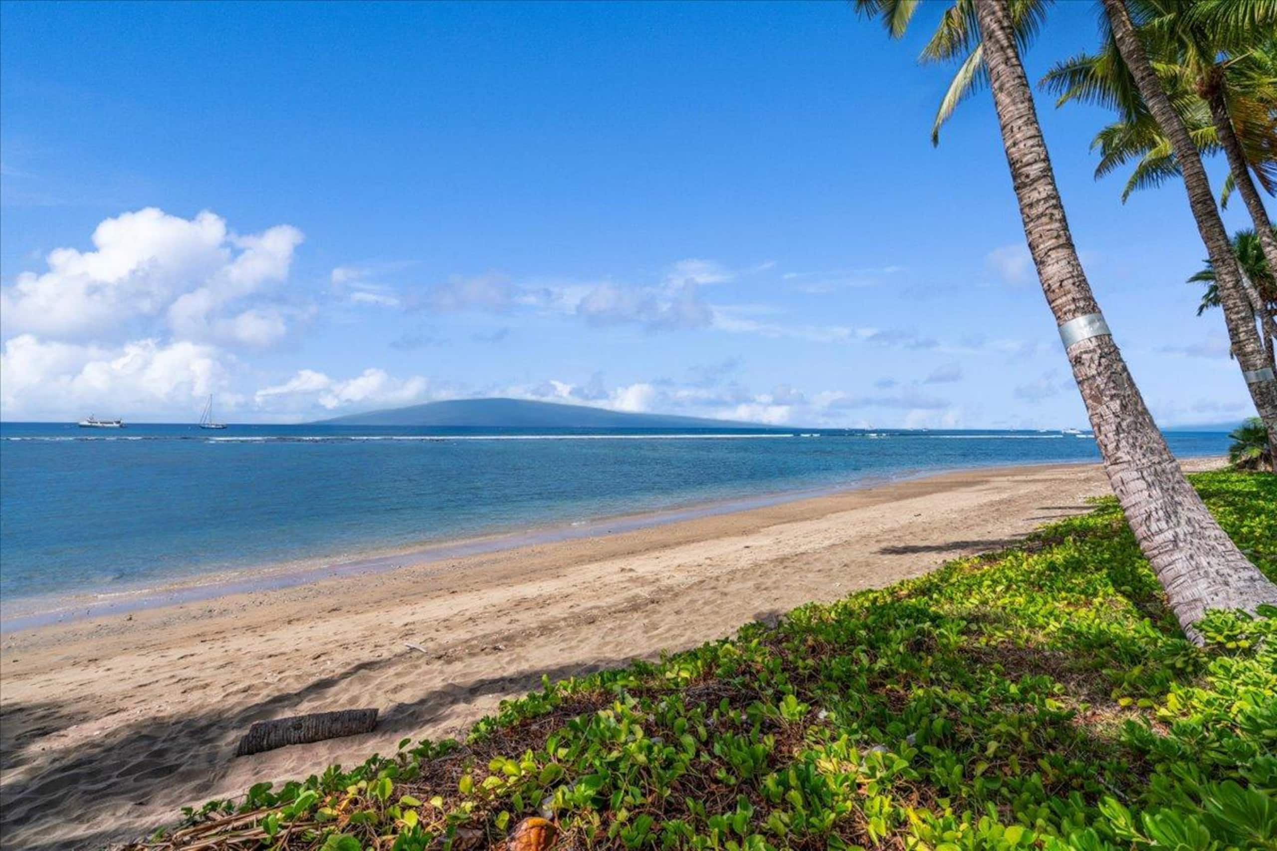 Place to stay in Lahaina · ★5.0 · 1 bed · 1 private bath - Image 18