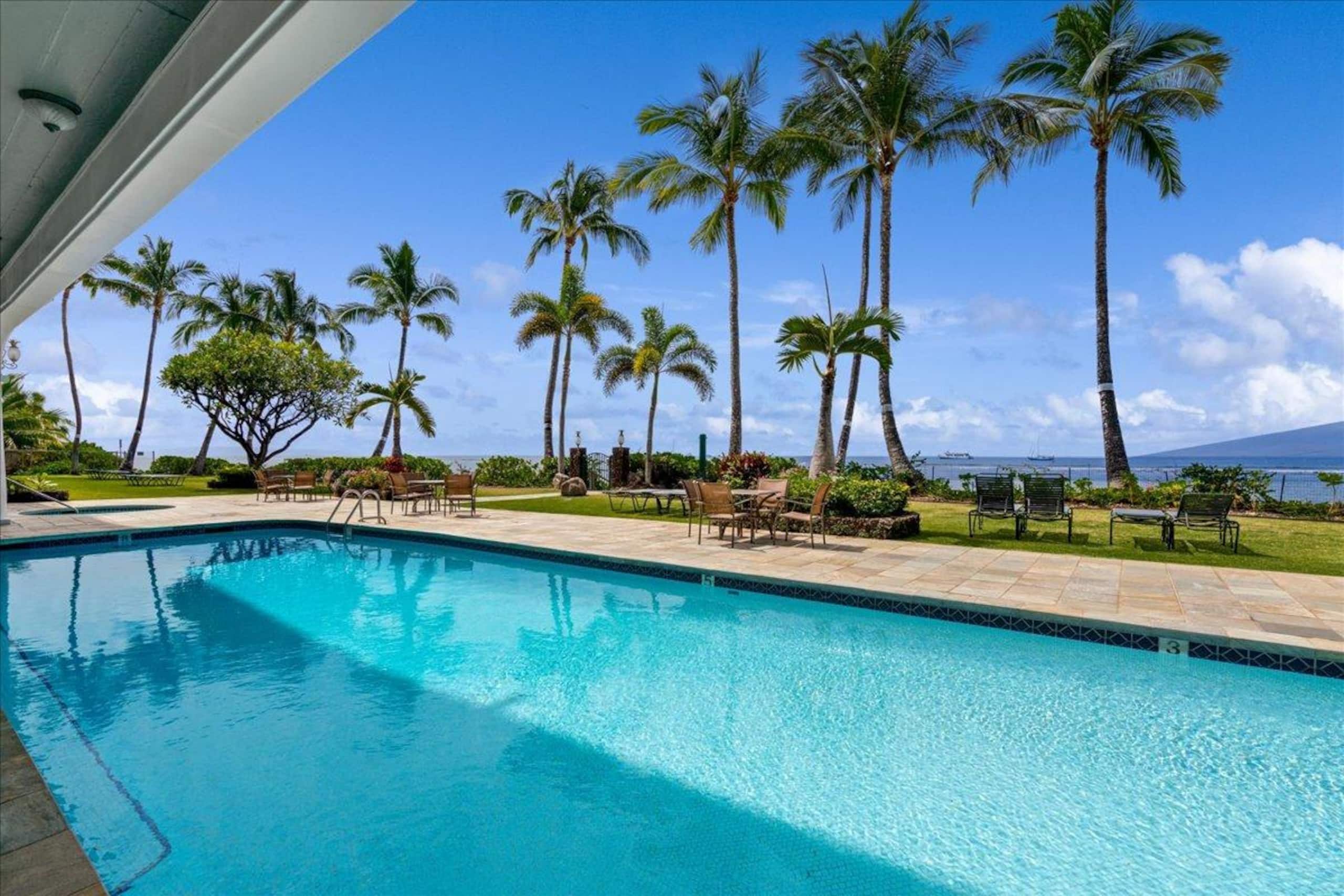 Place to stay in Lahaina · ★5.0 · 1 bed · 1 private bath - Image 7