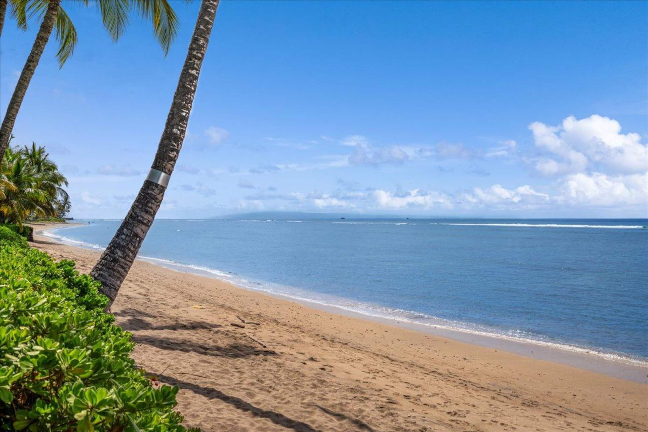 Place to stay in Lahaina · ★5.0 · 1 bed · 1 private bath - Image 17