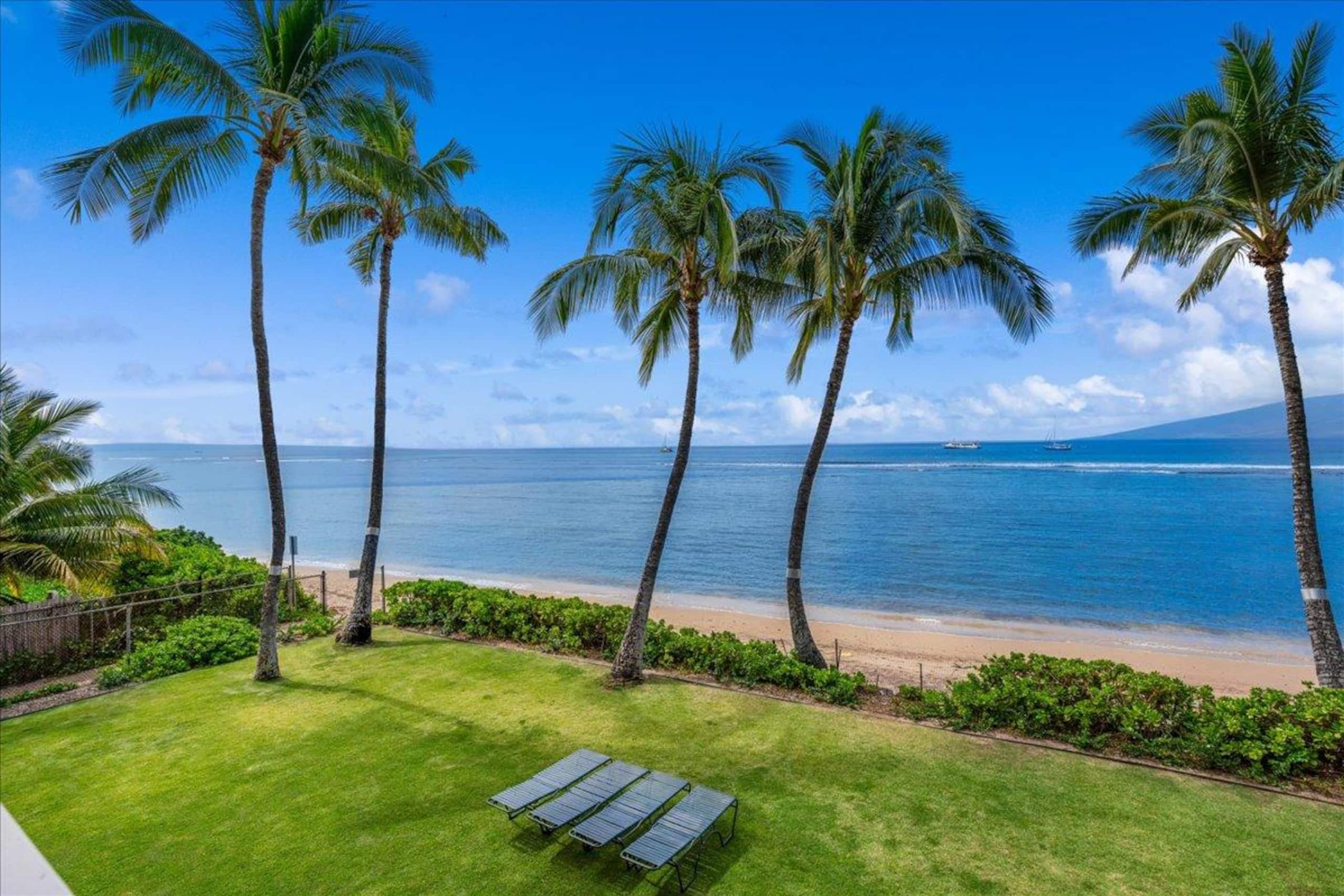 Place to stay in Lahaina · ★5.0 · 1 bed · 1 private bath - Image 26