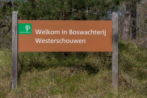 Top performing Airbnb: Dune Lodge for 2 - Glamping and tranquillity in Kloosterweg En Omgeving