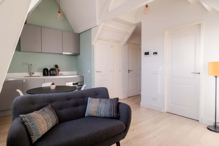 One Bedroom Apartment With Sloped Ceiling - Barendrecht