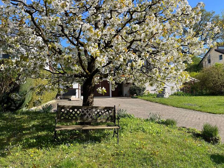 Am Kirschbaum By Interhome - Meersburg