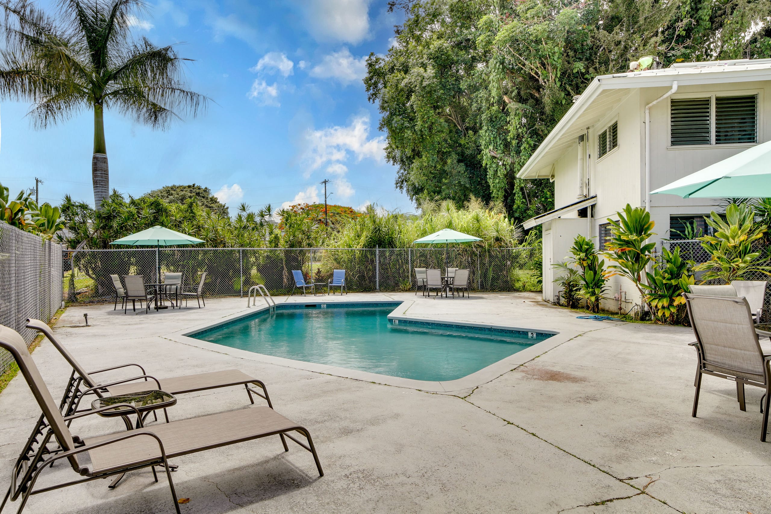Condo in Hilo · ★4.88 · 2 bedrooms · 3 beds · 1 private bath - Image 18