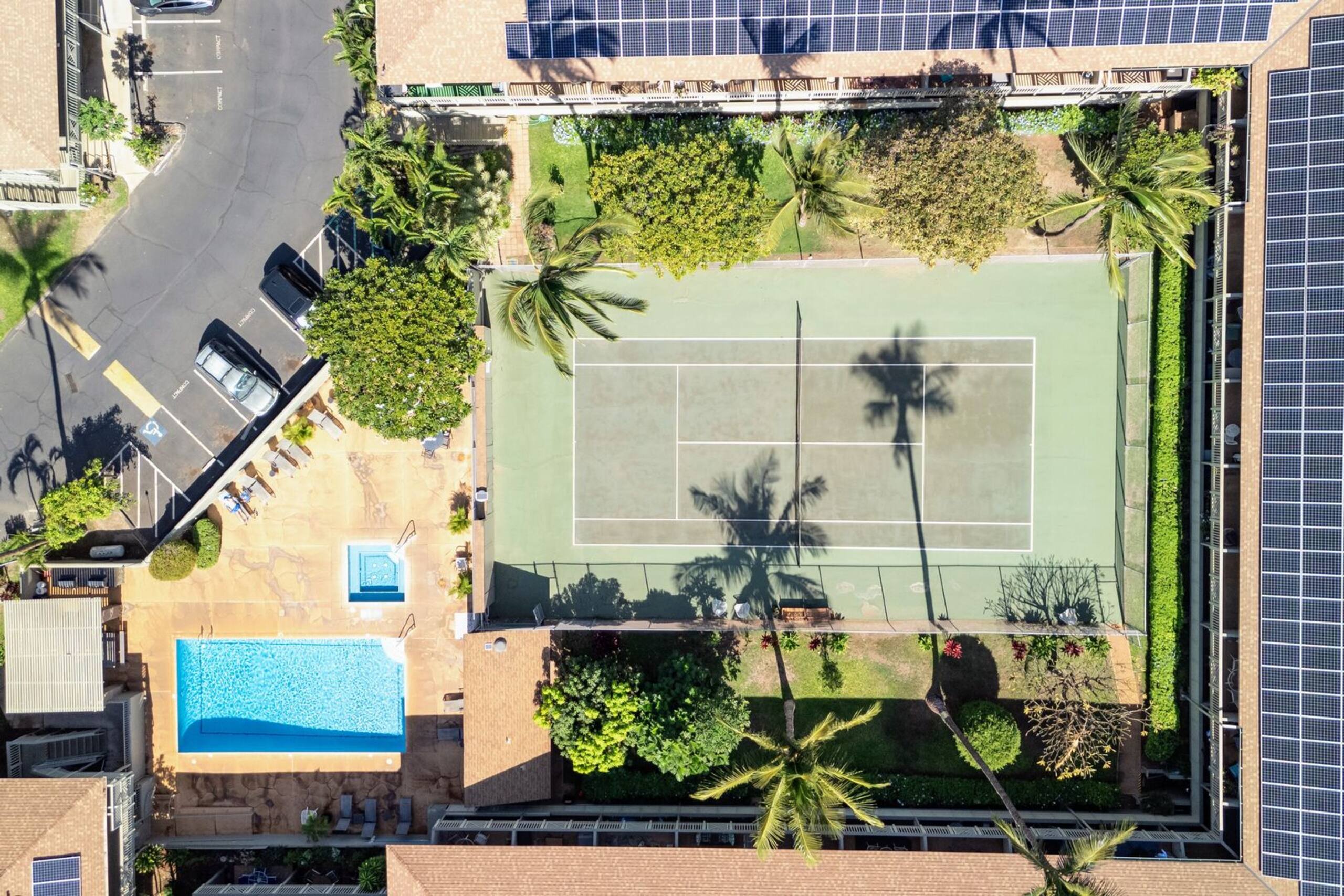 Updated studio, across from the beach - KBS A107 - Image 68