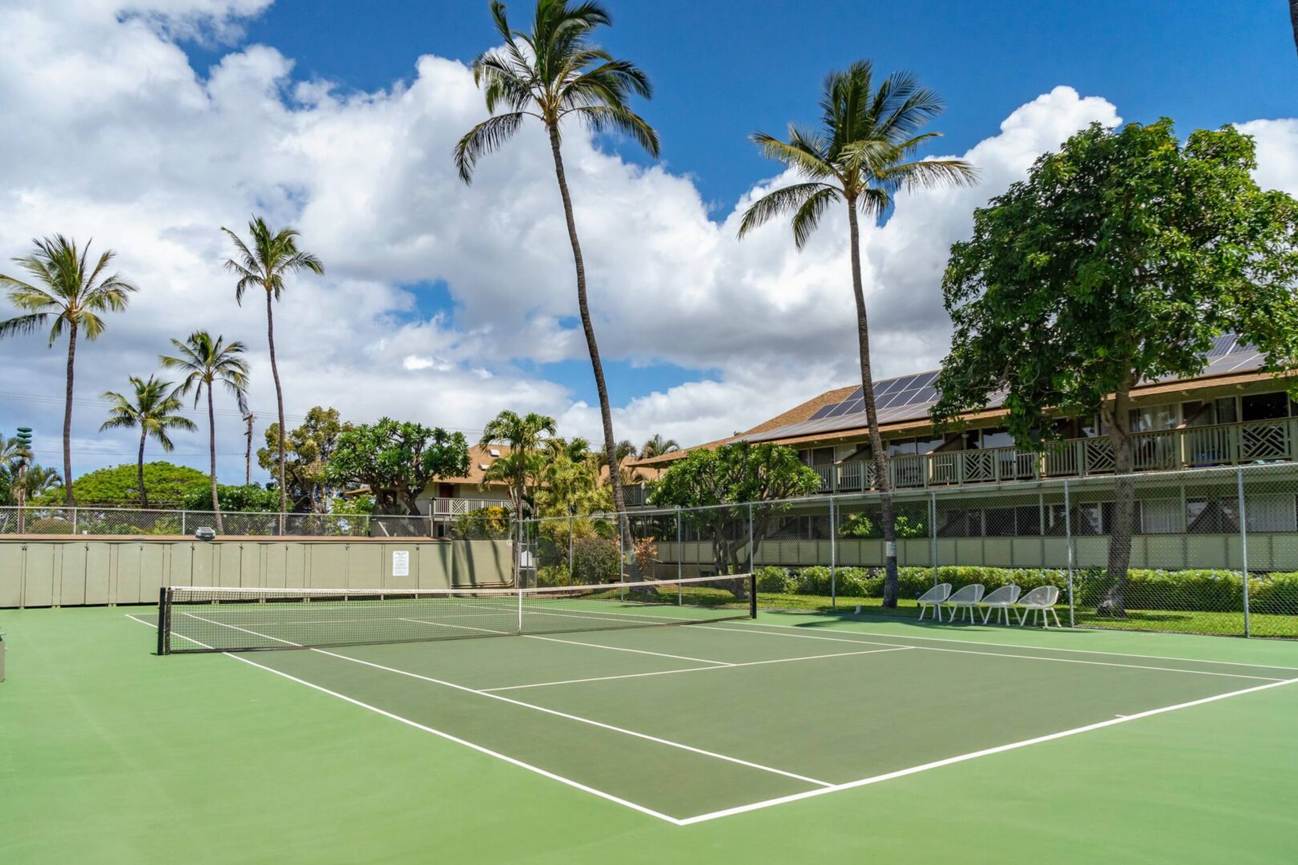 Updated studio, across from the beach - KBS A107 - Image 70