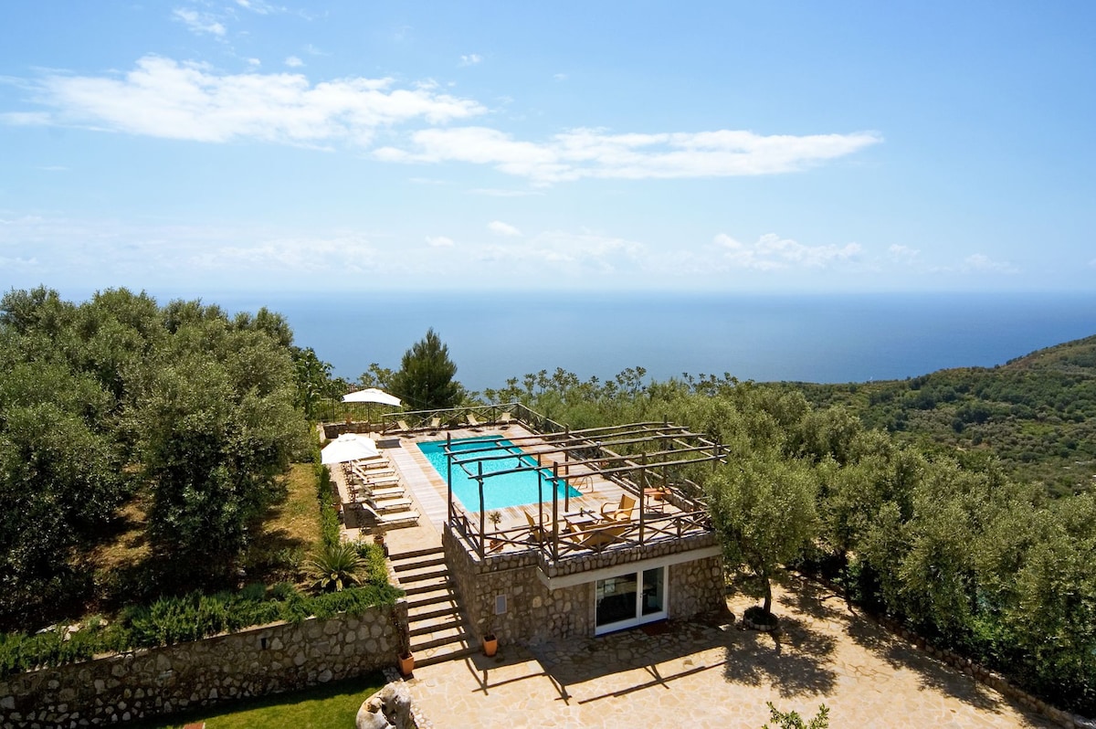 A spacious outdoor area features a swimming pool surrounded by sun loungers under umbrellas. Olive trees and lush greenery provide a natural backdrop, while the panoramic view of the Mediterranean Sea stretches into the horizon. A stone patio complements the tranquil setting.