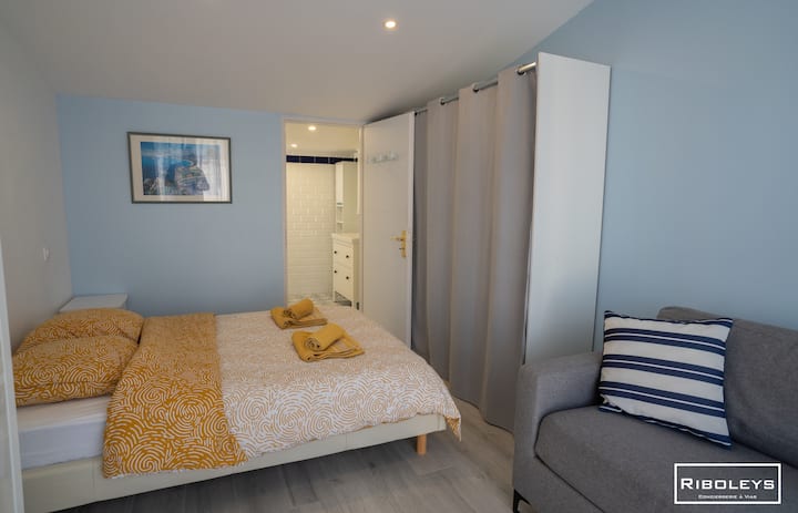 غرفة نوم بسرير مزدوج وسرير أريكة