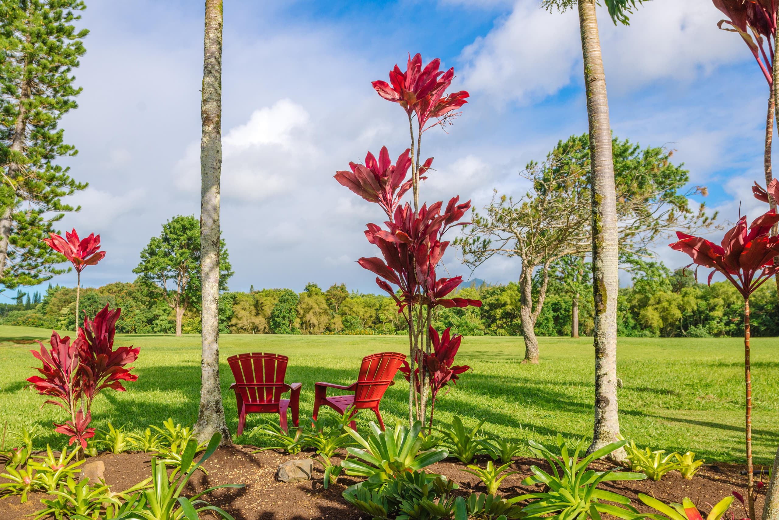 Home in Princeville · ★4.83 · 4 bedrooms · 5 beds · 3 private baths - Image 20
