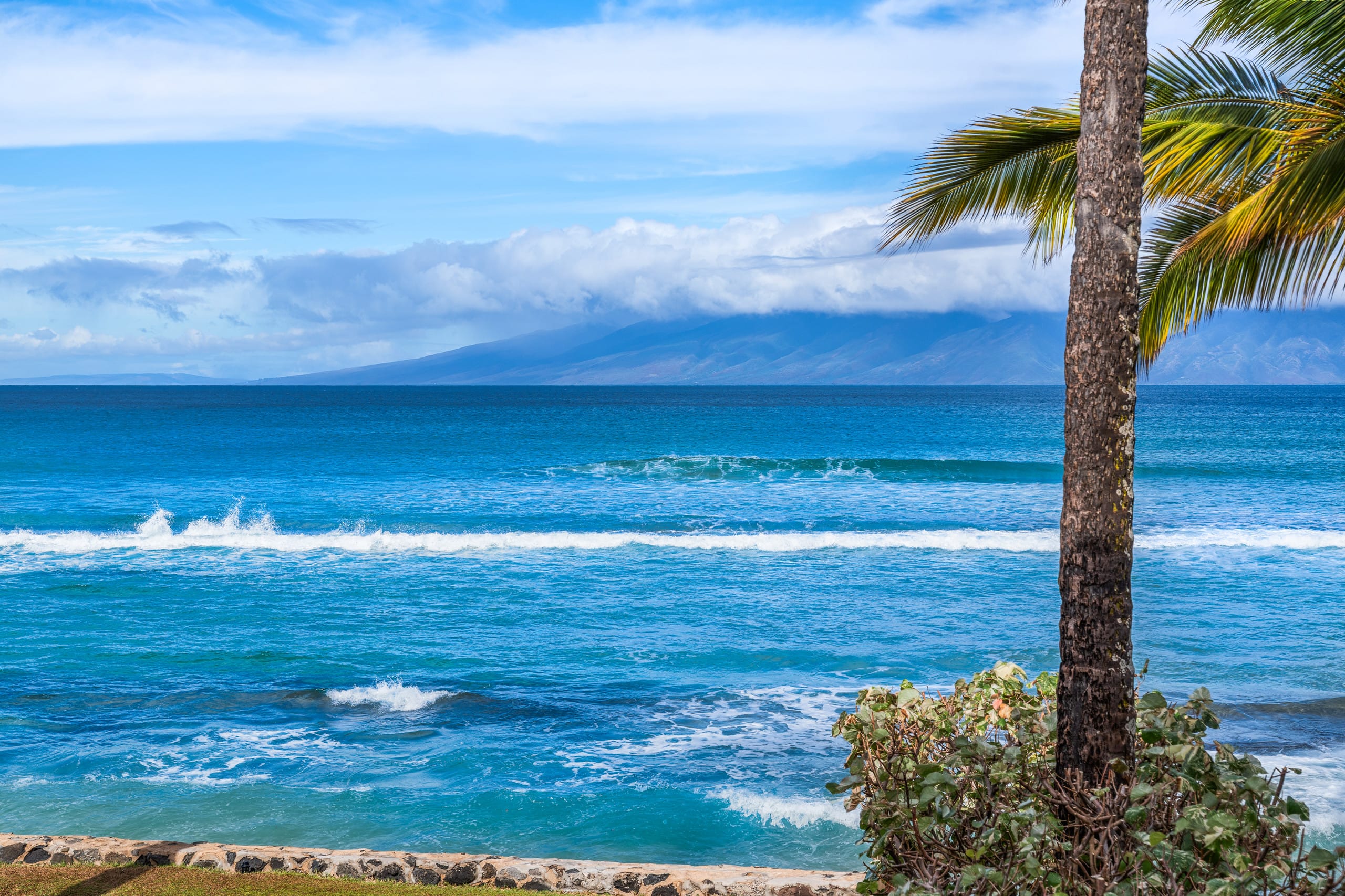 Condo in Lahaina · ★4.89 · 1 bedroom · 2 beds · 1 bath - Image 40
