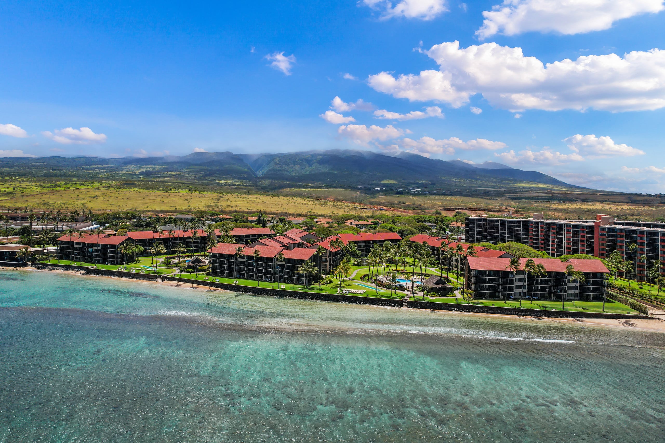 Condo in Lahaina · ★4.89 · 1 bedroom · 2 beds · 1 bath - Image 42