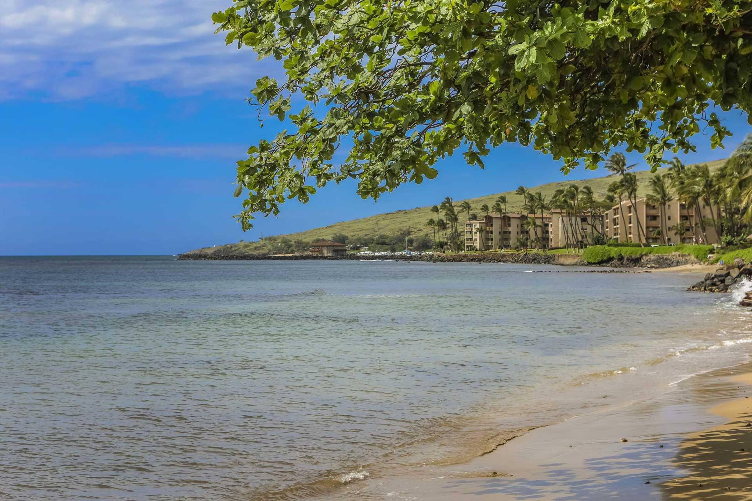 Condo in Maalaea · ★4.76 · 1 bedroom · 2 beds · 1 private bath - Image 40