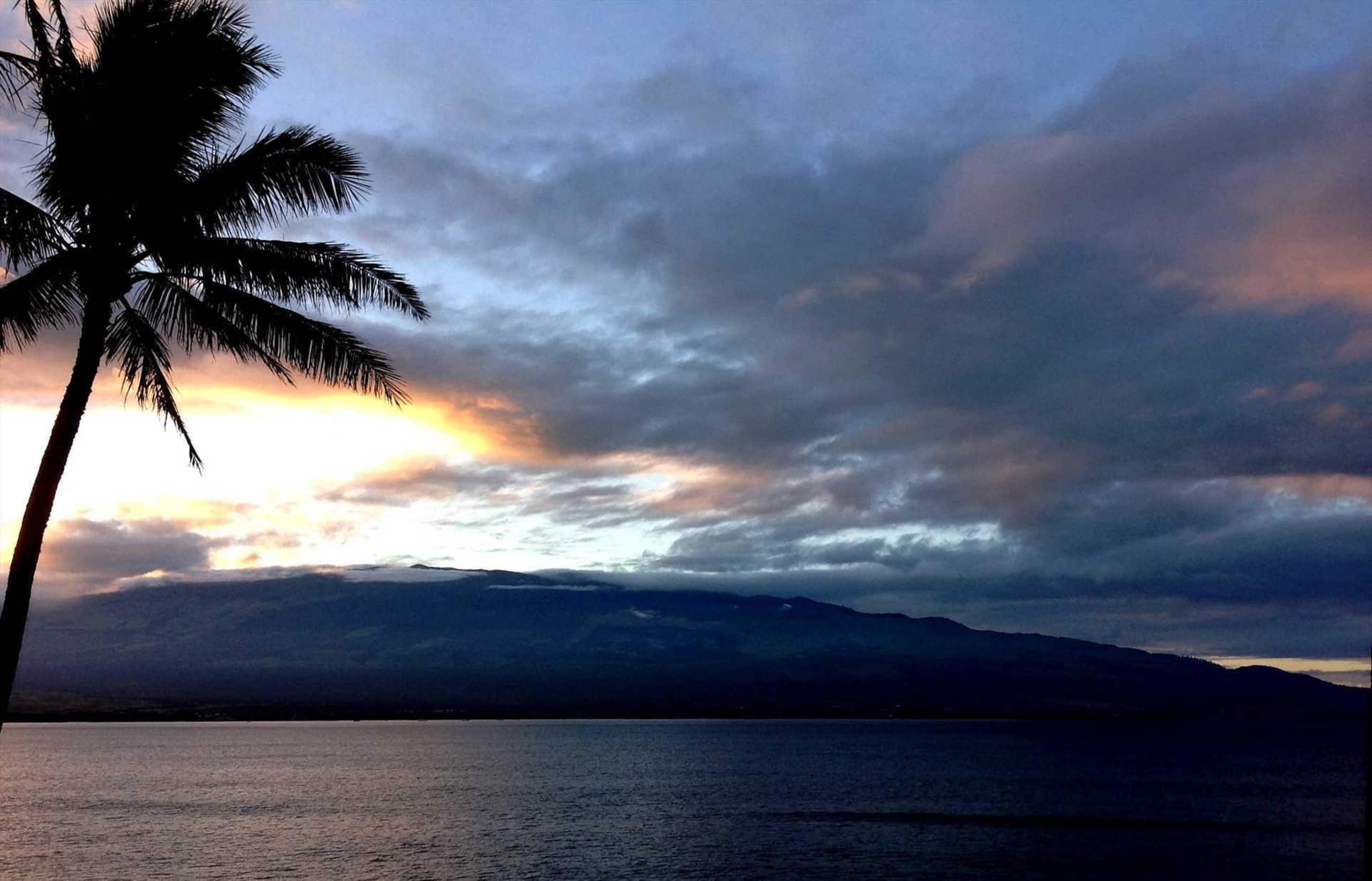 Condo in Maalaea · ★4.76 · 1 bedroom · 2 beds · 1 private bath - Image 26