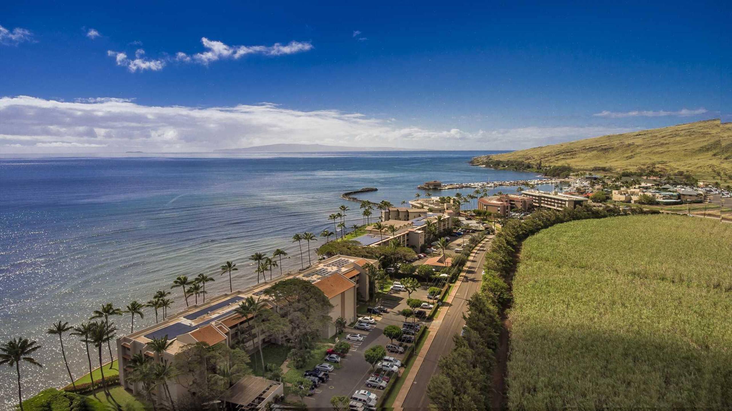 Condo in Maalaea · ★4.76 · 1 bedroom · 2 beds · 1 private bath - Image 34