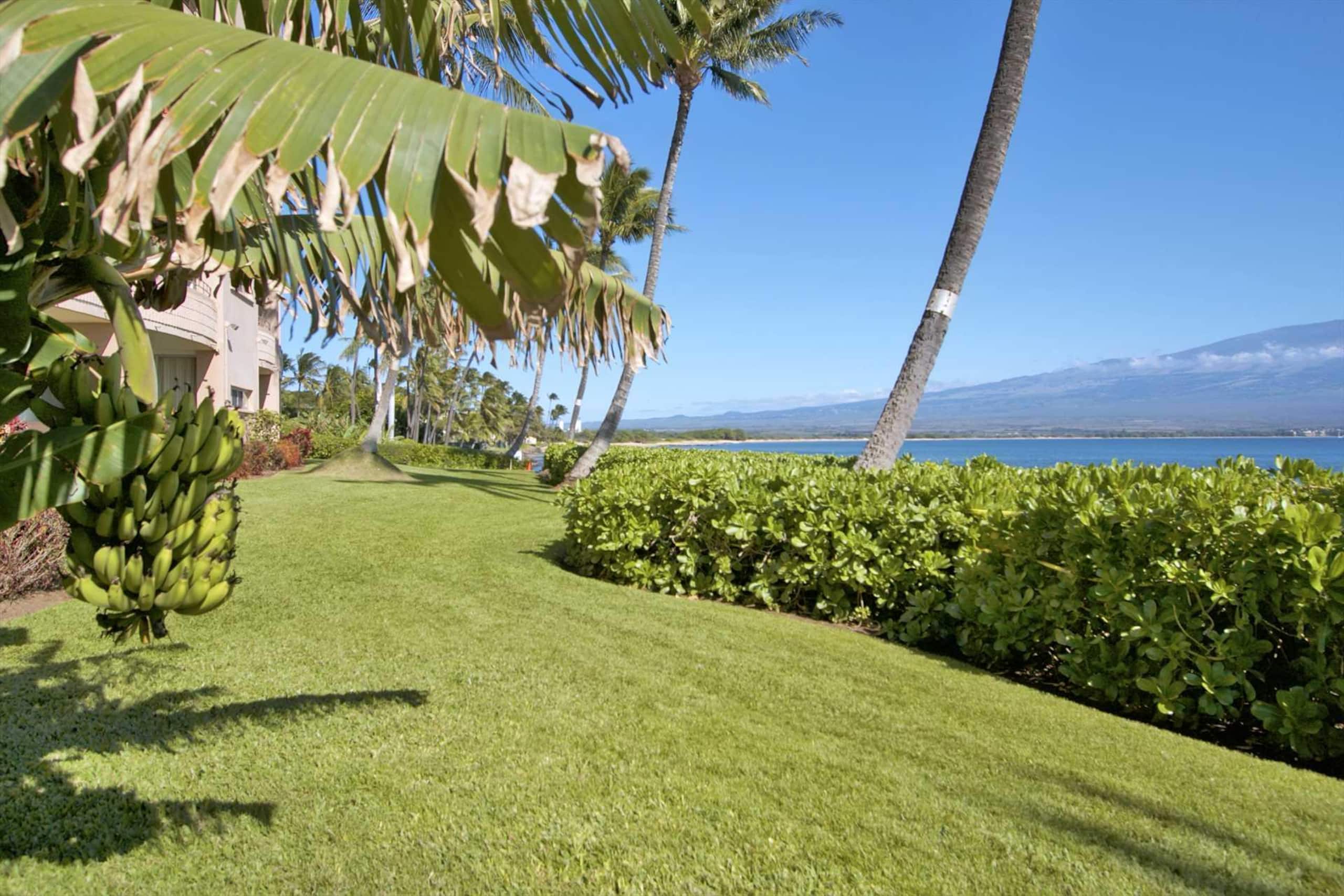 Condo in Maalaea · ★4.76 · 1 bedroom · 2 beds · 1 private bath - Image 33