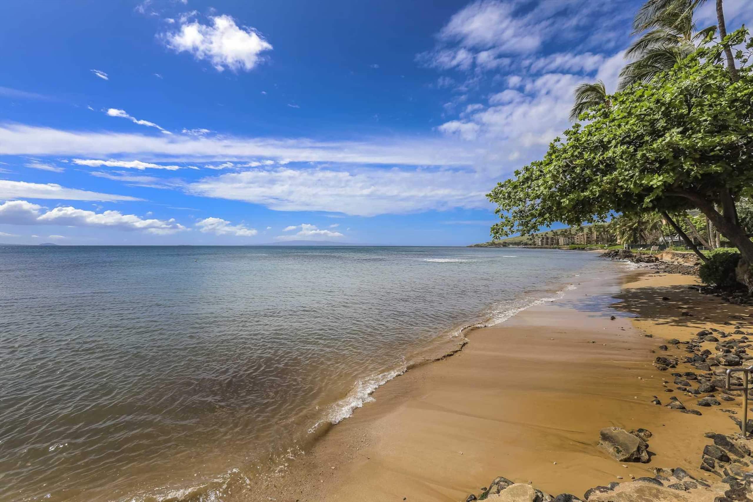 Condo in Maalaea · ★4.76 · 1 bedroom · 2 beds · 1 private bath - Image 38