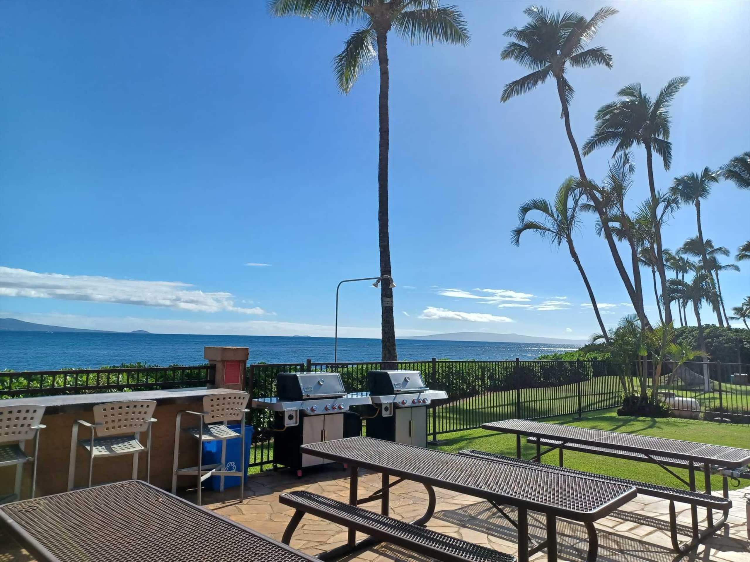 Condo in Maalaea · ★4.76 · 1 bedroom · 2 beds · 1 private bath - Image 4