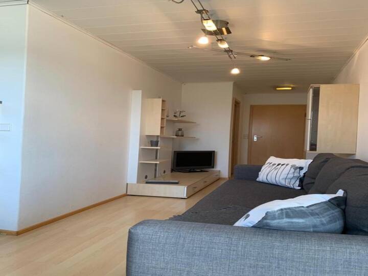 Ferienwohnung 3 Mit Alpenblick Und Terrasse - Meersburg