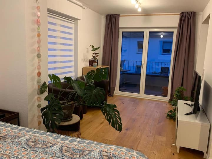 Wohnung Nähe Clemenshospital - Münster
