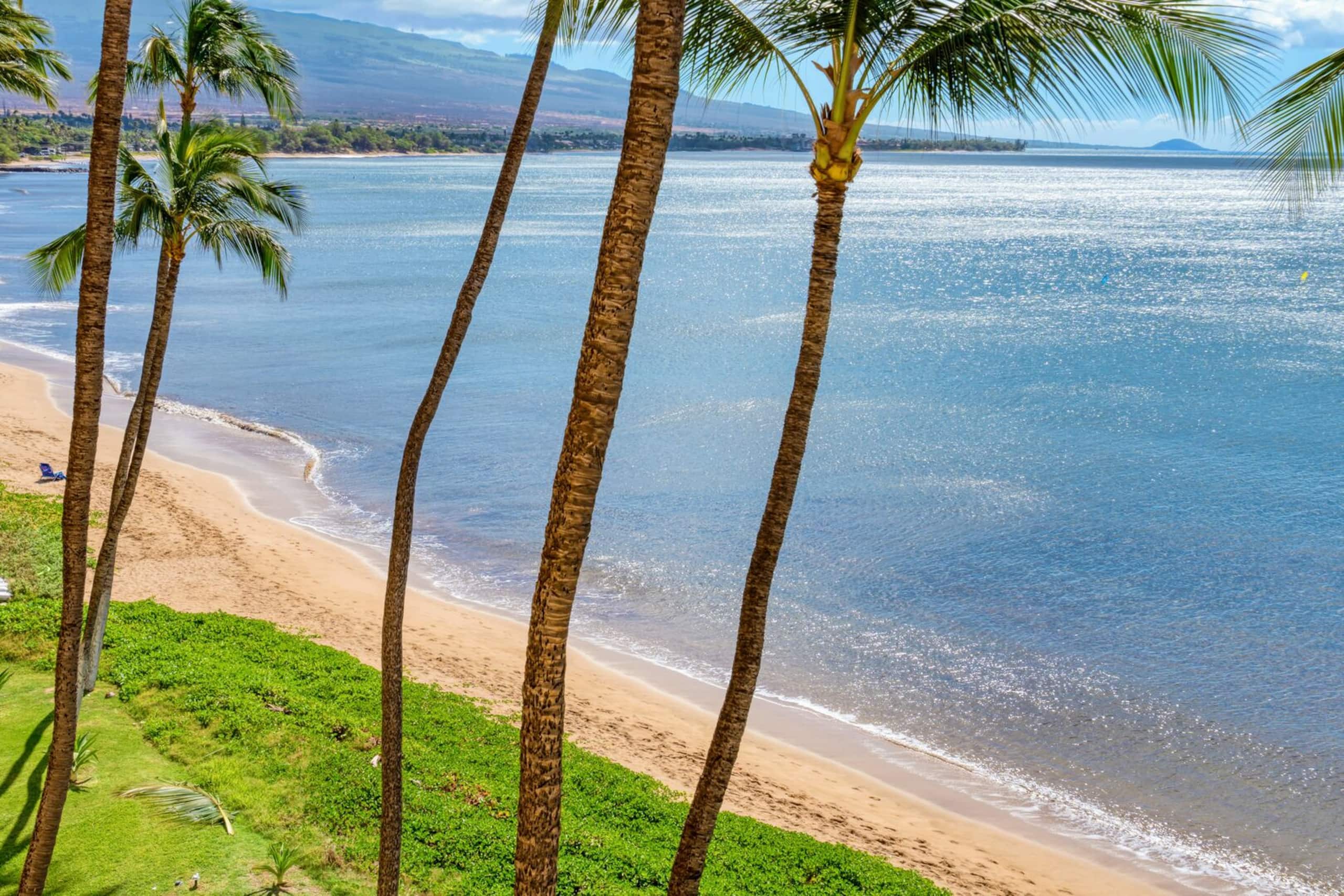 Oceanfront unit - Sugar Beach 528 - Image 30