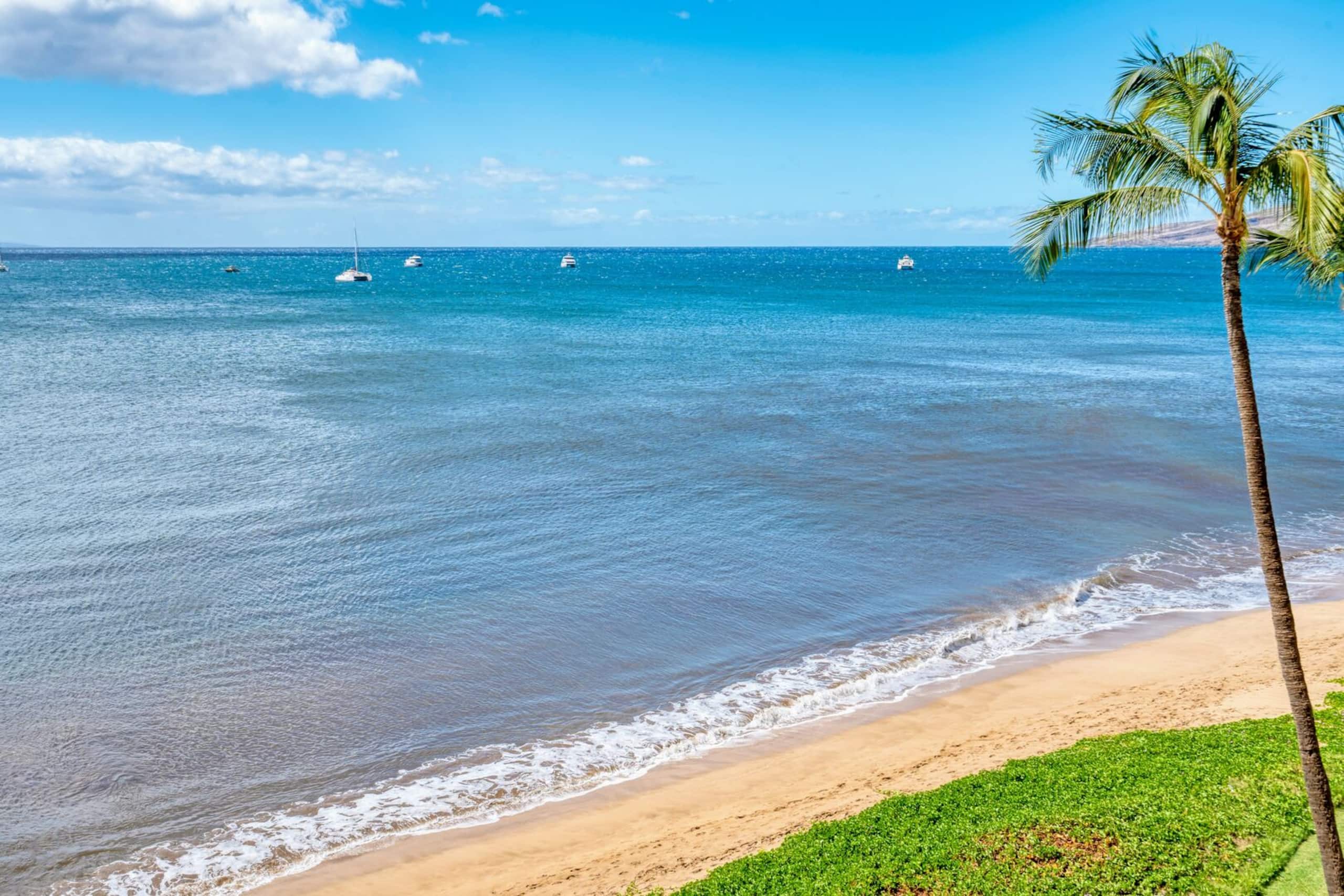 Oceanfront unit - Sugar Beach 528 - Image 37