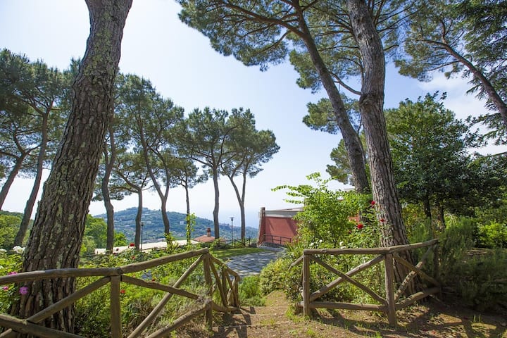 Villa Liana - Private Villa With Pool - Sorrento